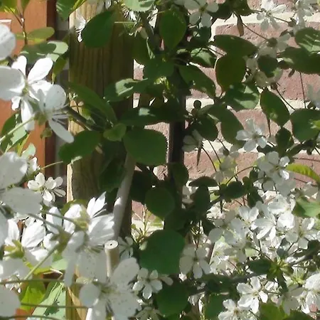 Le Goupil Affittacamere 4*