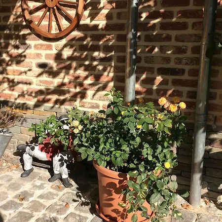 Maison d'hôtes Le Goupil Wavre